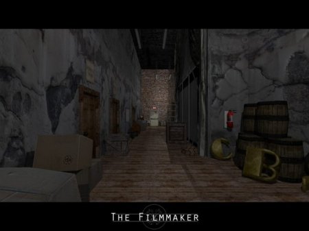 The Filmmaker 
