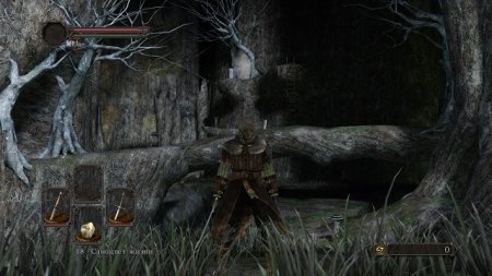 Dark Souls 2    PC