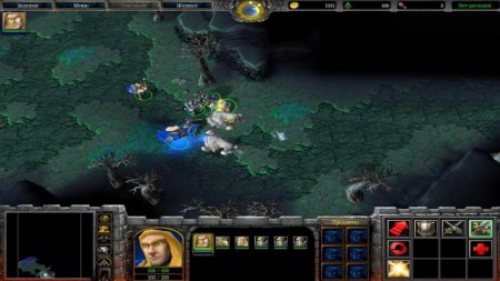 Warcraft III: The Frozen Throne  