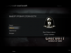 Call of Duty: World at War скачать торрент