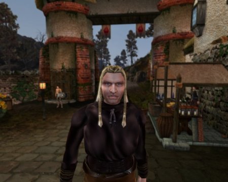 The Elder Scrolls 3: Morrowind скачать торрент
