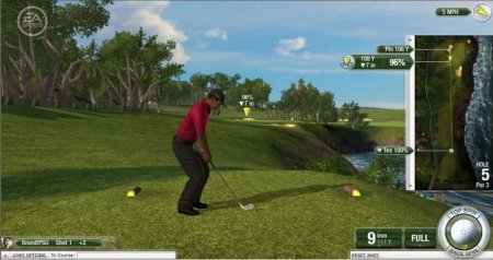 Tiger Woods PGA Tour Online 