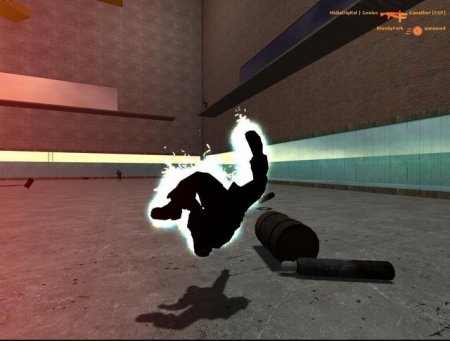 Half-Life 2: Deathmatch 